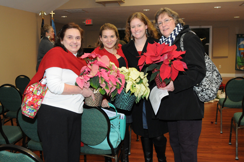 Poinsettias