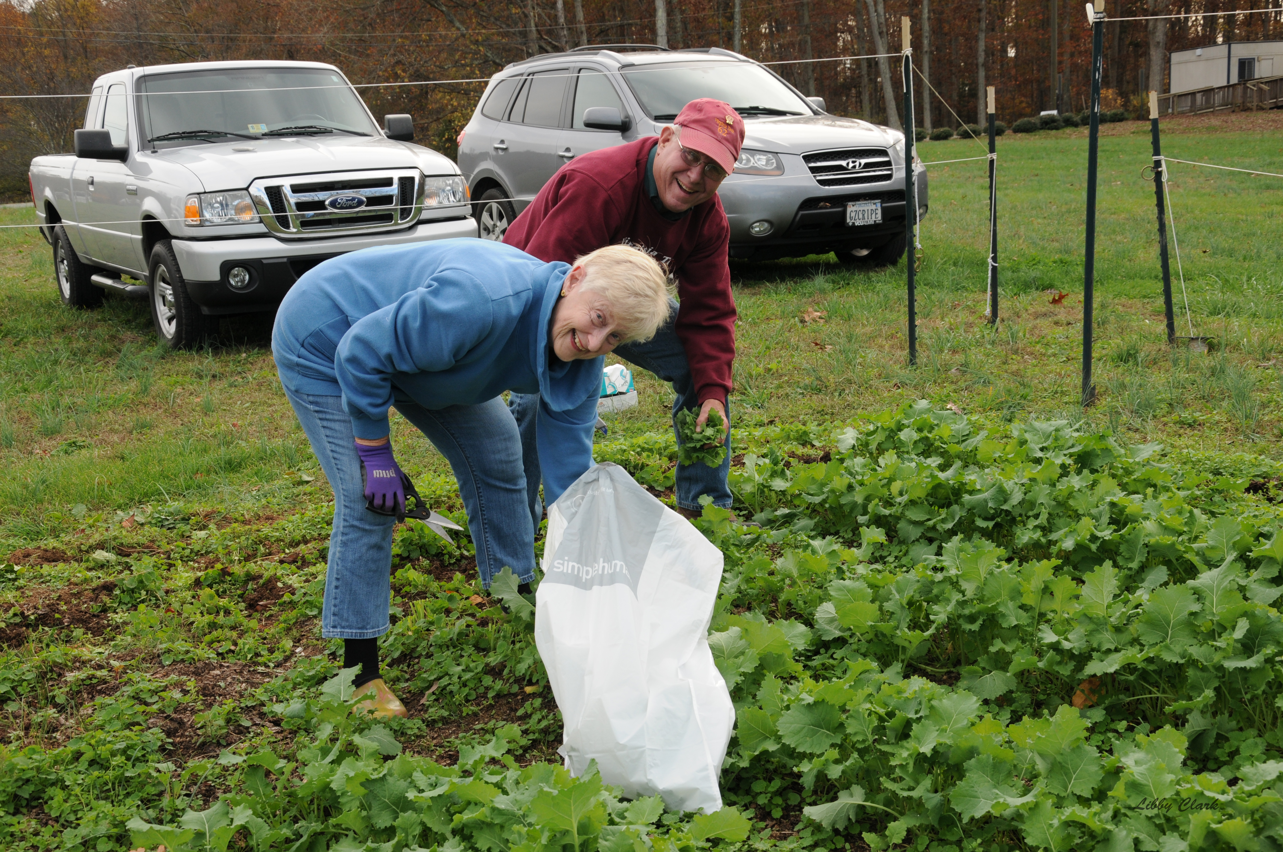 Bill and MJ Harvesting Kale