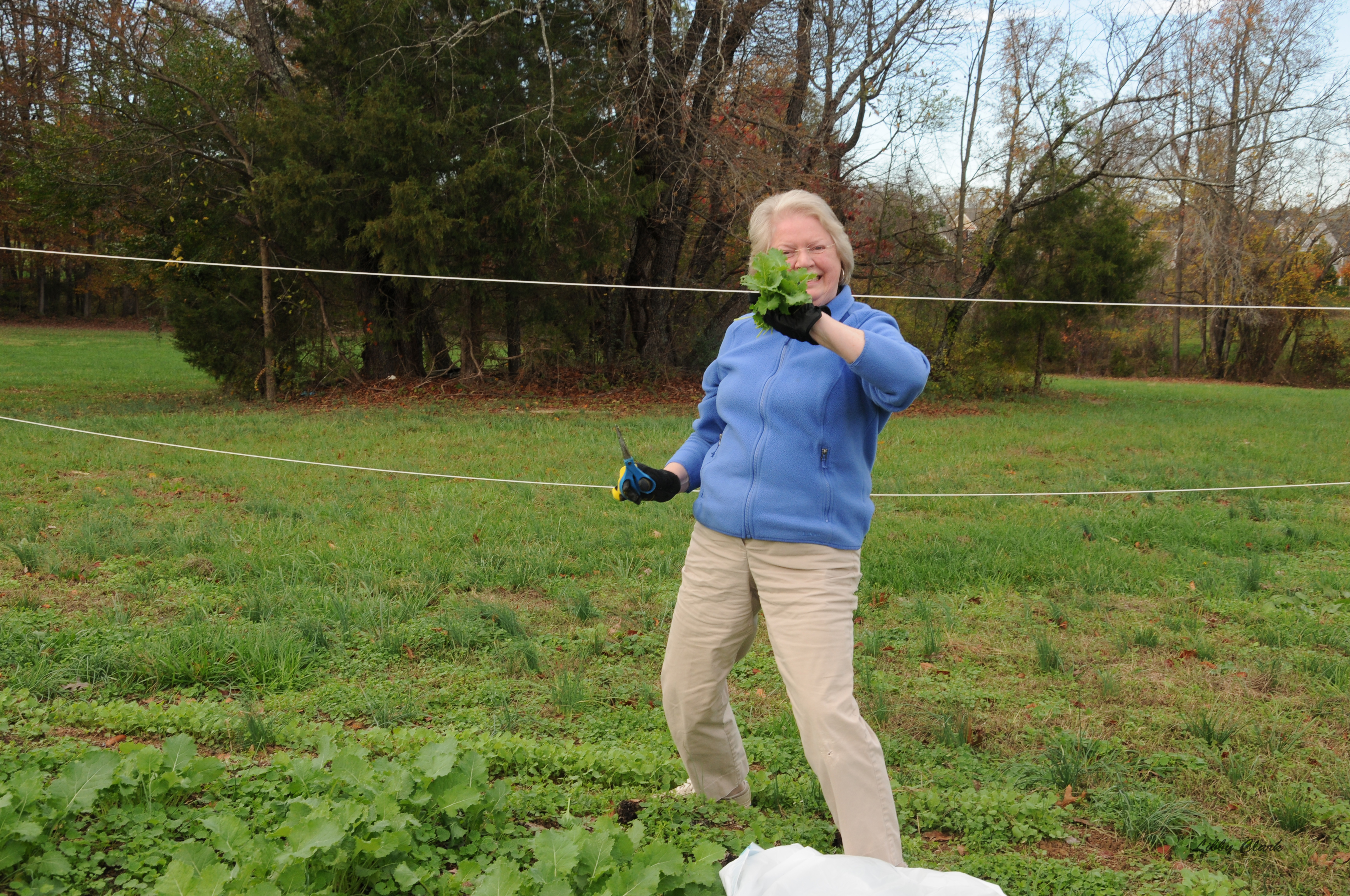 Evelyn Harvesting Kale